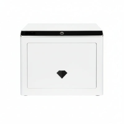 0.92 Cu. Ft. Touchscreen Biometric Keypad Security Safe