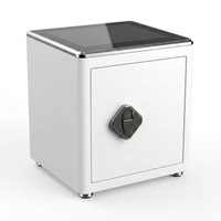Biometric Security Safe Built for Advanced Protection, 2.4 Cu Ft Capacity, LED Touchscreen, Removable Shelving — Studio Shot