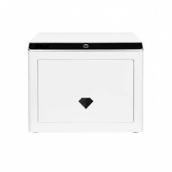 0.92 Cu. Ft. Touchscreen Biometric Keypad Security Safe